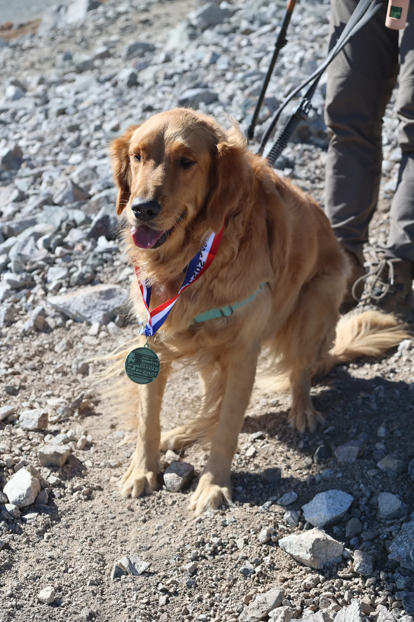 Hero profile photo